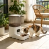 ABS 7L gran capacidad WiFi cámara temporizador automático pet feeder Application Scenario